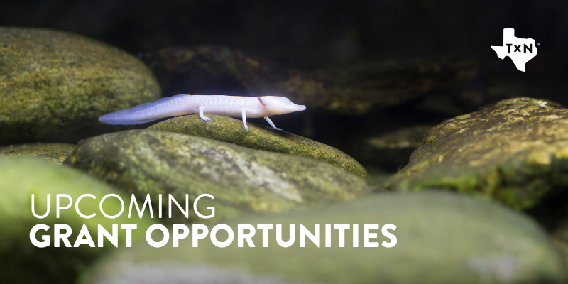 2025 Q3 Grants-2