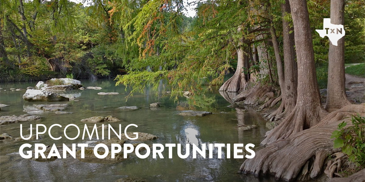 Photo of a river with bald cypress trees growing along the creek sides and text reading "Upcoming Grant Opportunities" in the bottom left and the Texan by Nature logo in the top right. 
