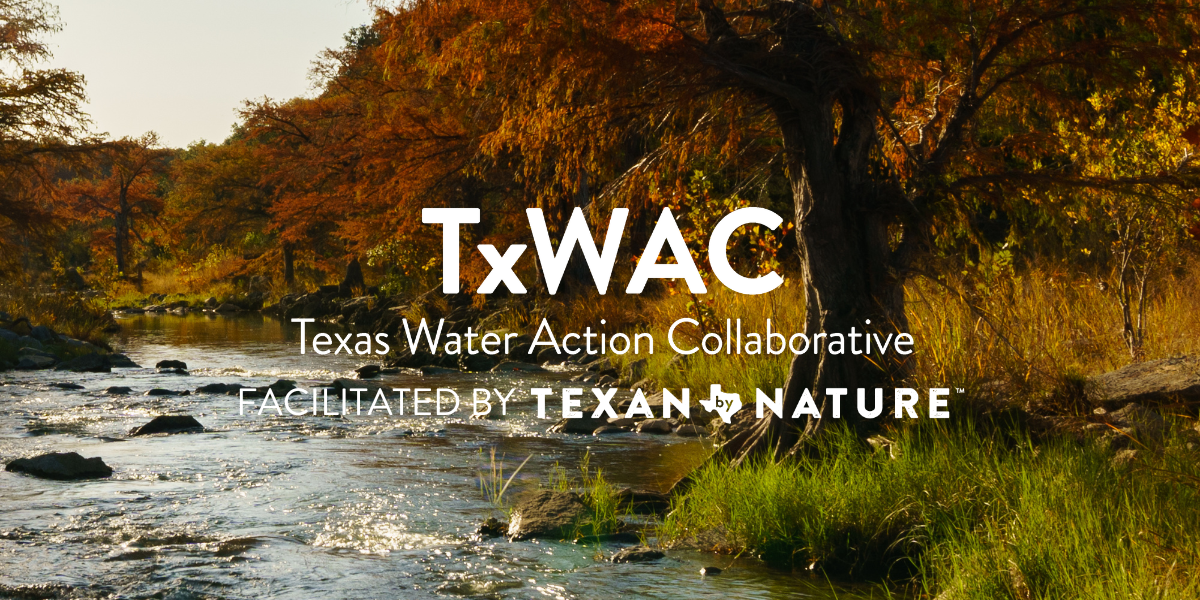 Forested river autumn landscape with the text "TxWAC, Texas Water Action Collaboartive, Facilitatied by Texan by Nature" centered in white.