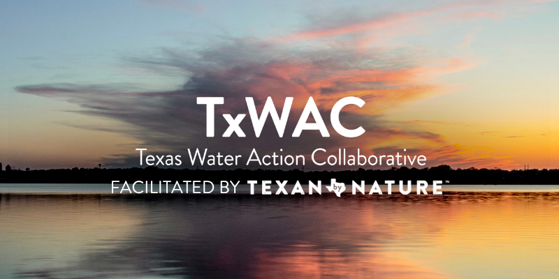2026 Q2 TxWAC Newsletter Header