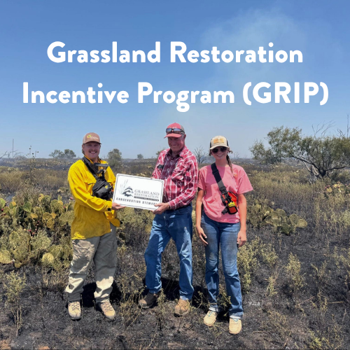 Grassland Restoration Incentive Program (GRIP) Conservation Wrangler