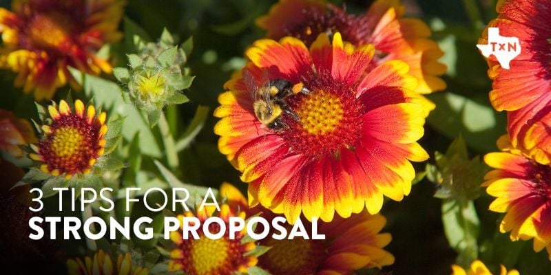 Proposal