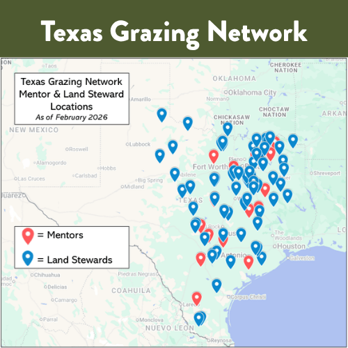 Texas Grazing Network Conservation Wrangler