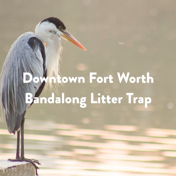 Q1 2026 Project Highlight - Downtown Fort Worth Bandalong Litter Trap