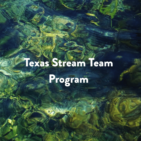 Close up photo of ripples on the San Marcos Springs with the text "Texas Stream Team Program" centered in white. 