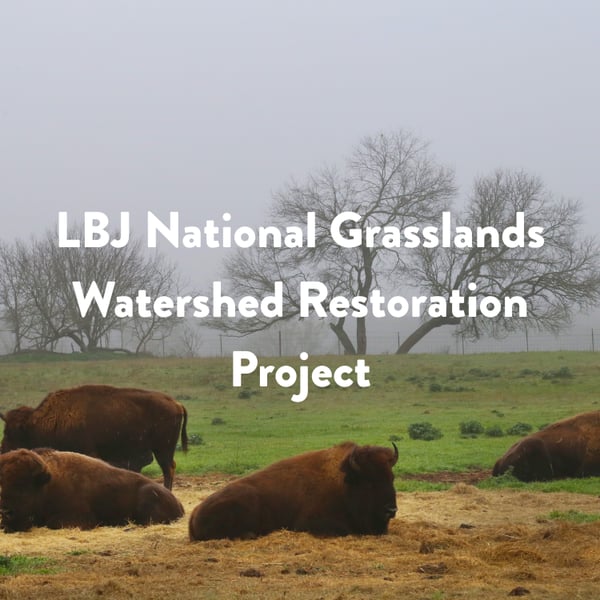 Q4 2025 newsletter feature LBJ National Grasslands Watershed Restoration Project 