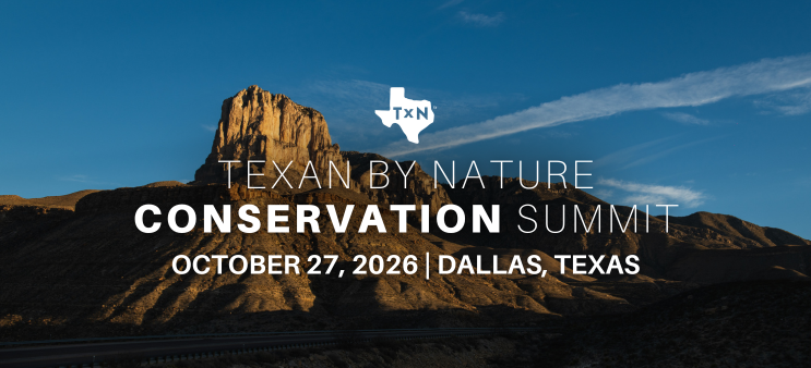 Summit graphic 