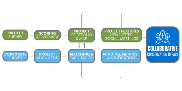 Illustration of how the Texas Water Action Collaborative evaluates conservation projects and matches them to corporate funders.